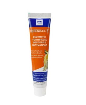 PAW READY ENZEMATIC BRUSHMATE TOOTHPASTE BANANA MINT