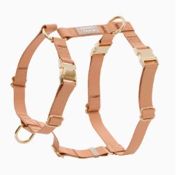 Sunny Tails Harness