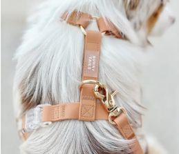 Sunny Tails Harness