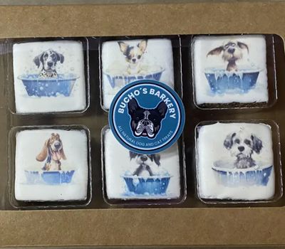 Spa Day - Dog Treats, Hand-Frosted and Printed