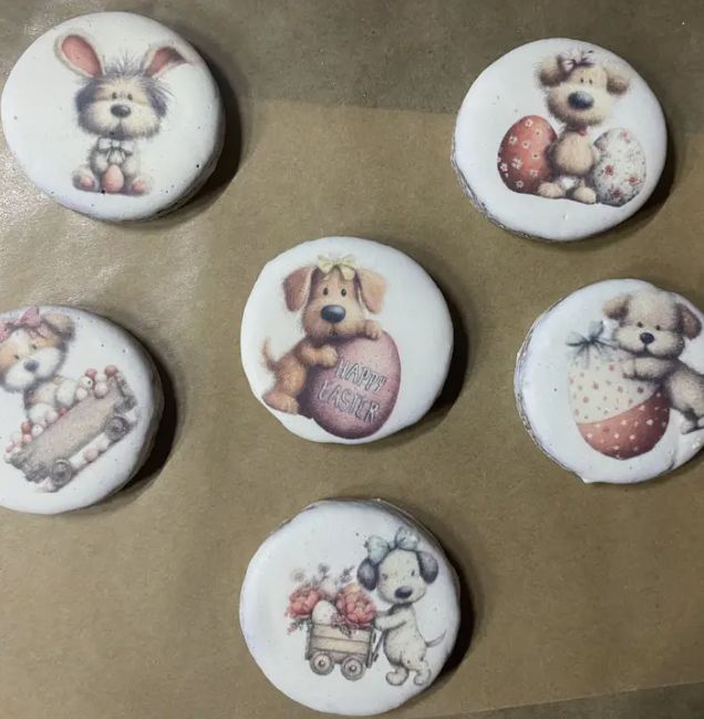 Hoppy Paws Tackle Box - Dog Treat, Hand-Frosted &amp; Printed