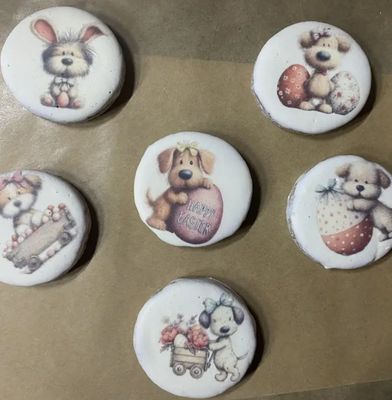 Hoppy Paws Tackle Box - Dog Treat, Hand-Frosted &amp; Printed