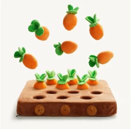 snuffle hunt - carrots