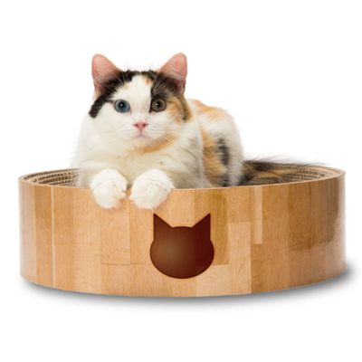 Necoichi Cozy Cat Scratcher Bowl - Oak - M