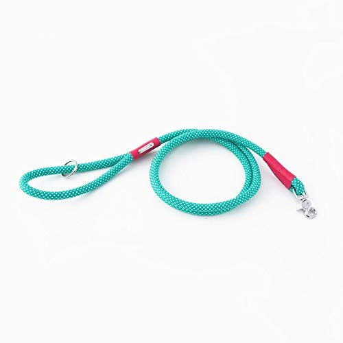 ZippyPaws Mod Essentials Leash Teal Dog Lead