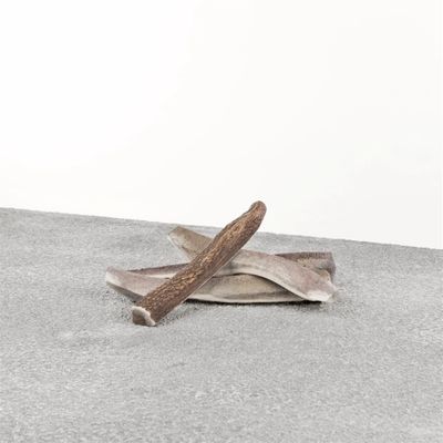 850016300843 Stag Antler Dog Chew - Large