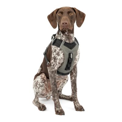 Kurgo Journey Air Adjustable Dog Harness - M - Black