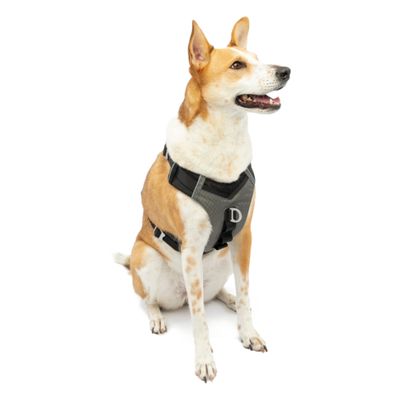 Kurgo Journey Air Adjustable Dog Harness - L - Black
