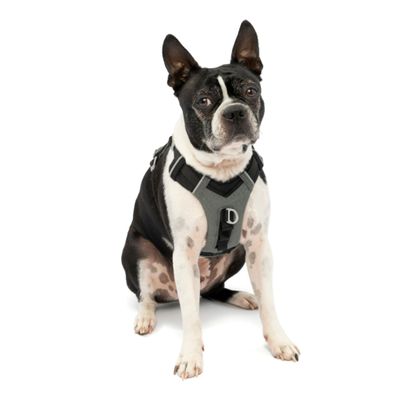 Kurgo Journey Air Dog Harness - S - Black