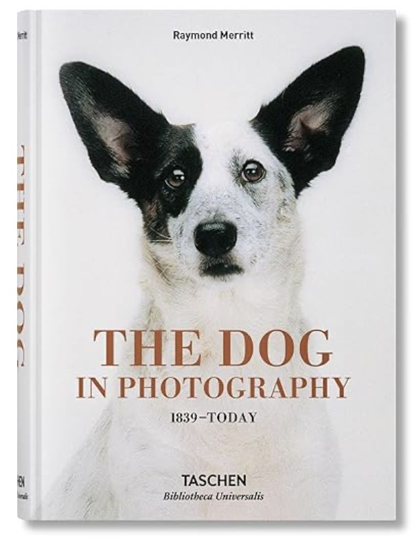The Dog in Photography book