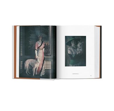 The Dog in Photography book