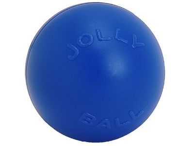 Jolly Pets Push-N-Play Ball Blue 10 inch Interactive Hard Plastic Toy for Dogs