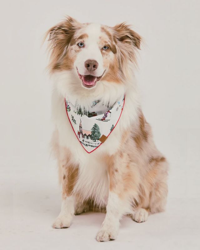 Holiday Toile Pet Bandana
