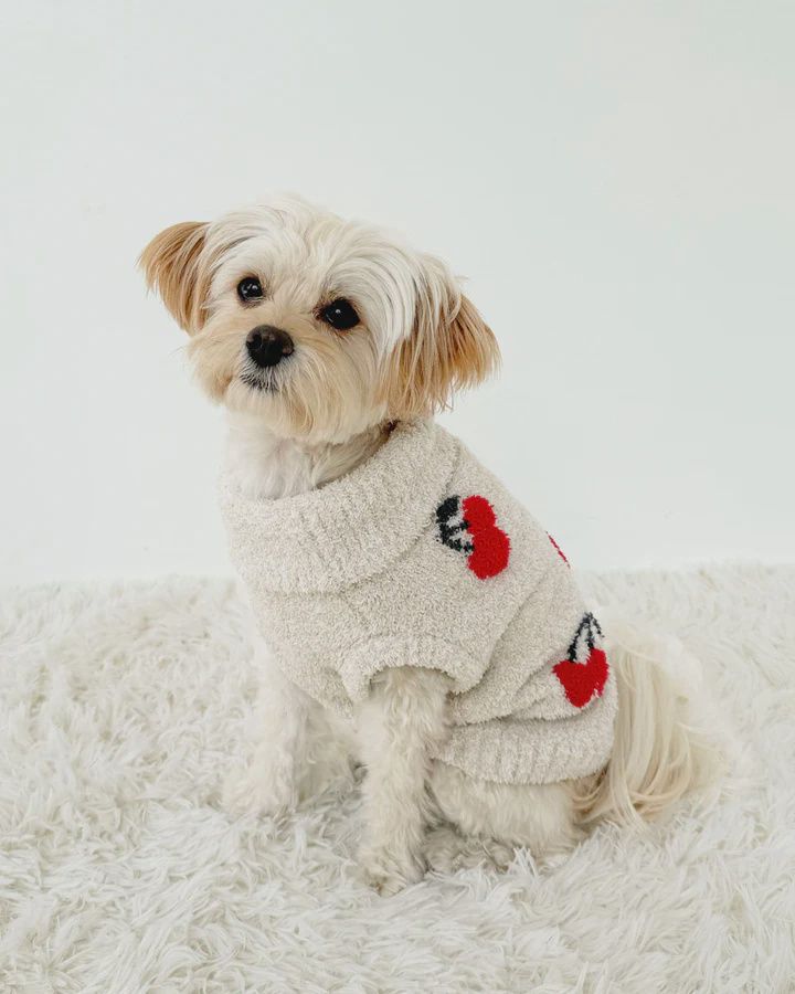 Cherries Fuzzy Pet Sweater