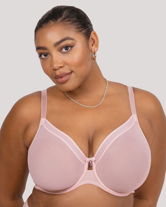 Sheer Mesh Full Coverage Unlined Underwire Bra