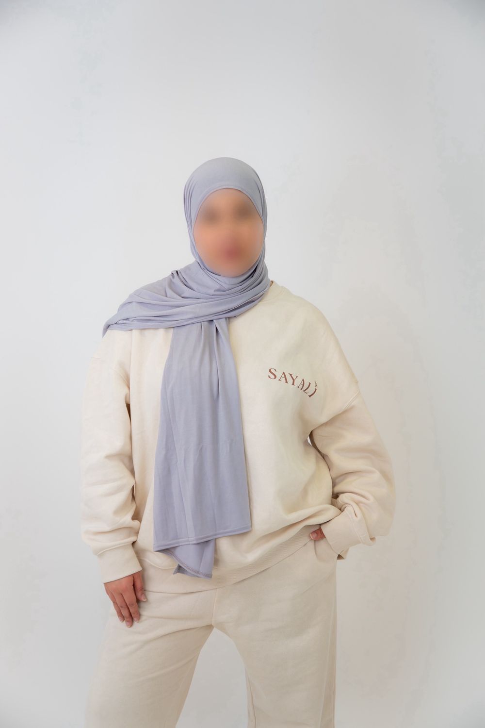 Jersey Premium Épais - BLEU GRIS CLAIR