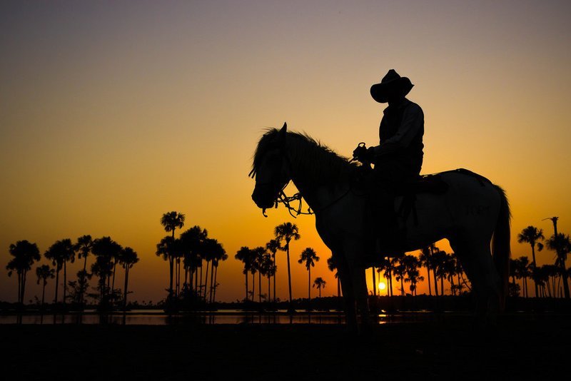 Cabalgata