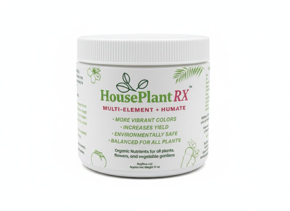 House Plant – Premixed (net 16oz) House Plant – Premixed (net 16oz)