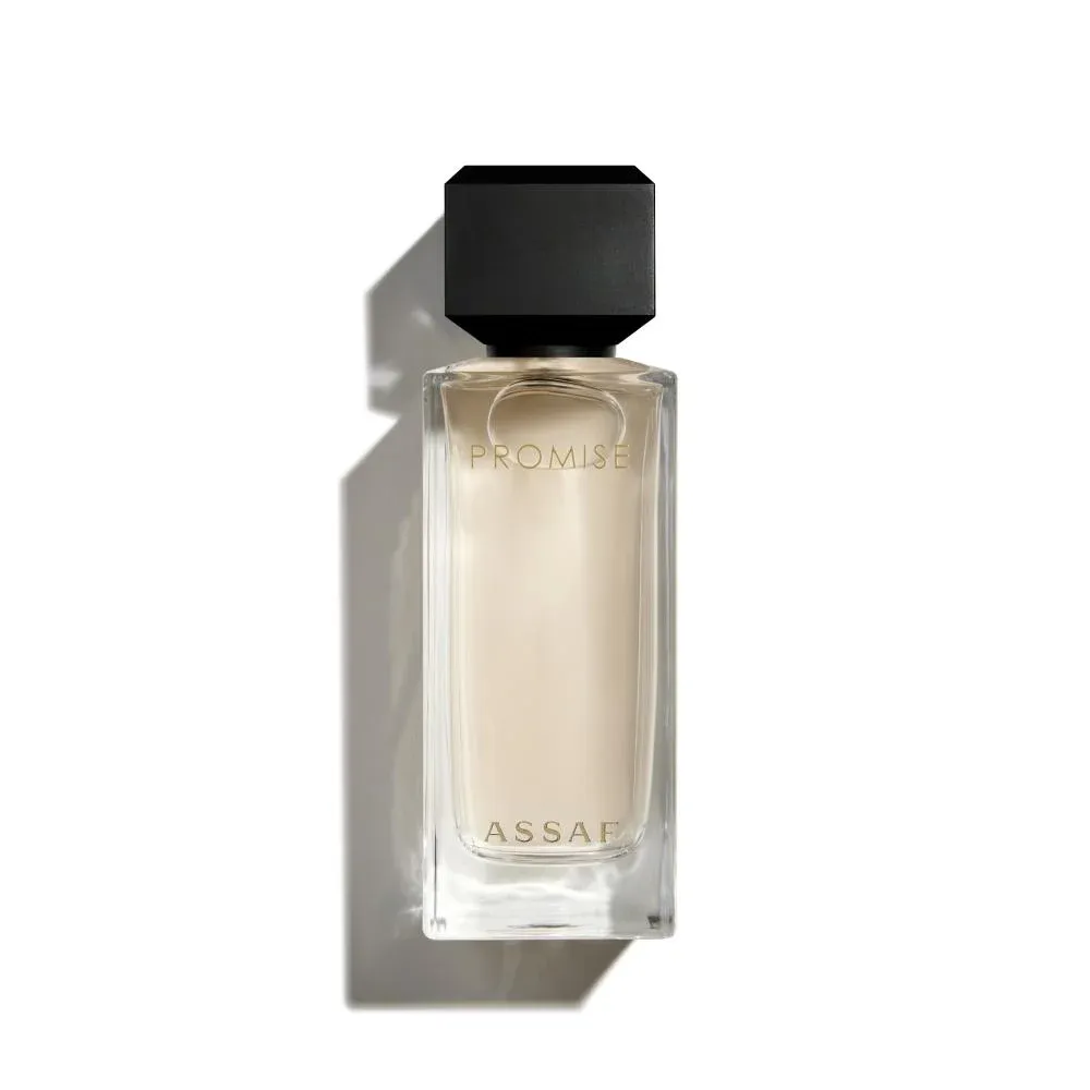 بروميس - PROMISE