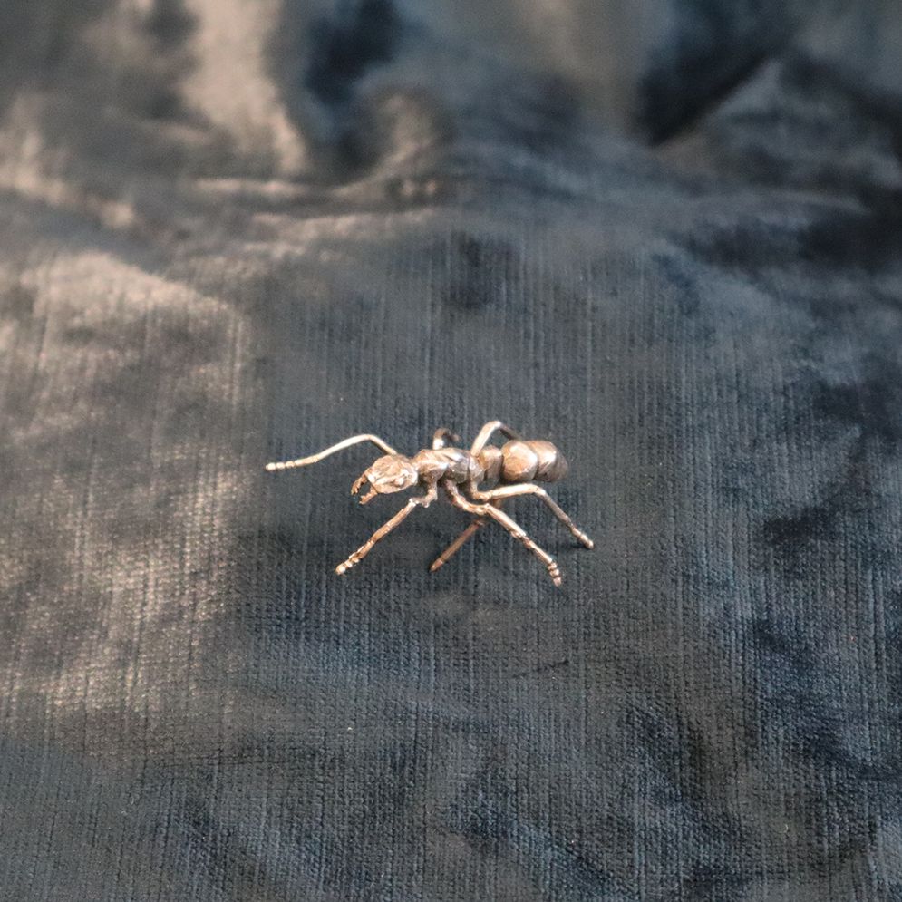 Ant, Material: silver