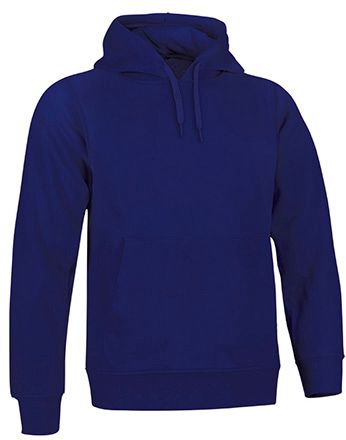 Sudadera Arizona violeta berenjena