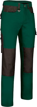 Pantalón Dynamite verde botella-negro