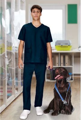 Conjunto sanitario Leiden v806