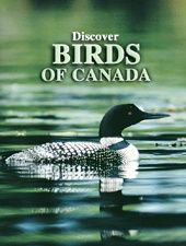 Card deck - Birds of Canada