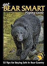 Card Deck - Bear Wise