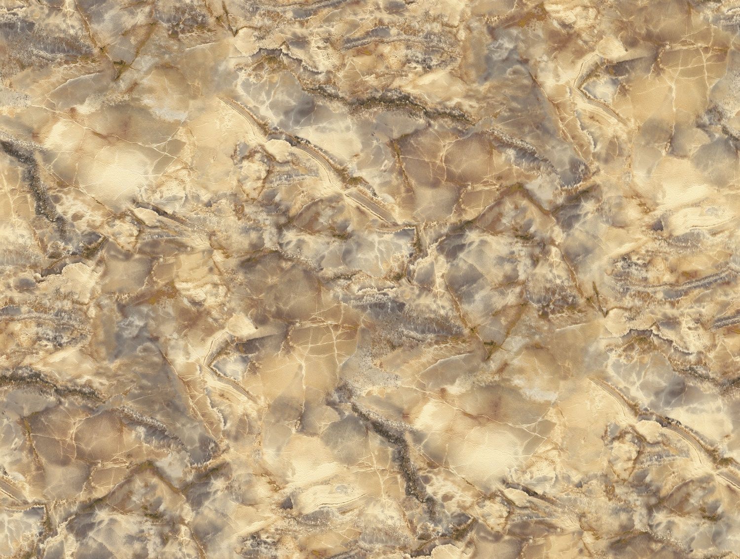 FC Carrara 4 - 45086649