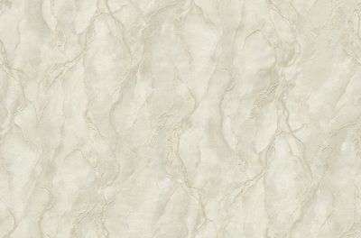 FC Carrara 4 - 45086667