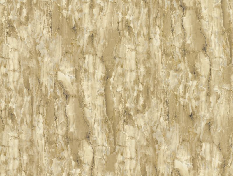 FC Carrara 4 - 45086739