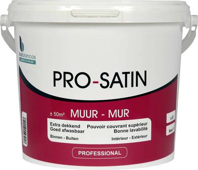 Gevel, muur en plafondverf