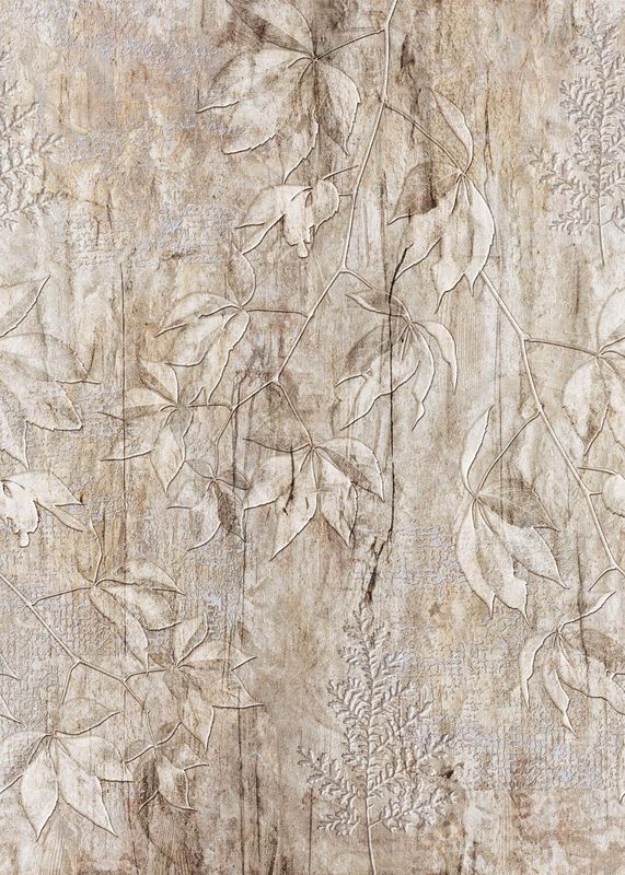 Enjoy Life - Fossil Leaves 200x280cm INK8231