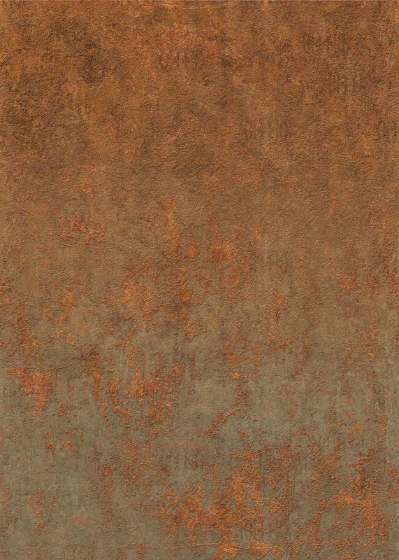 Enjoy Life - My Favorite Decay Rusty 200x280cm INK8209