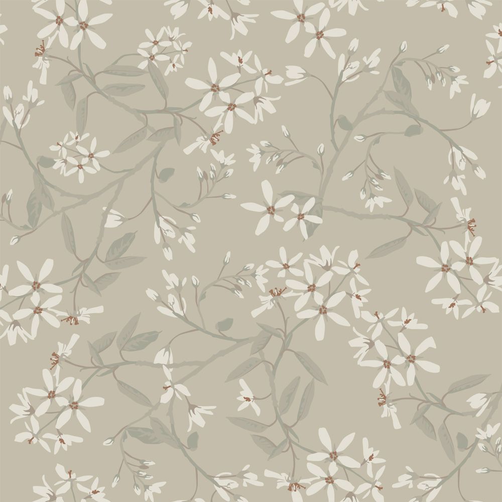 Ester - Paradis Beige/grey 20113