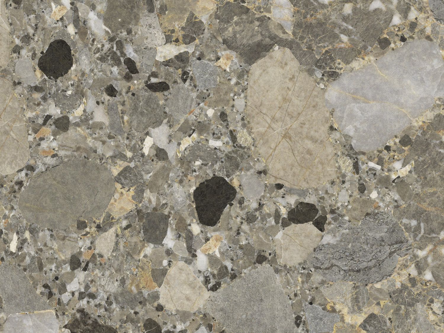 FC Carrara 4 foto 45085656