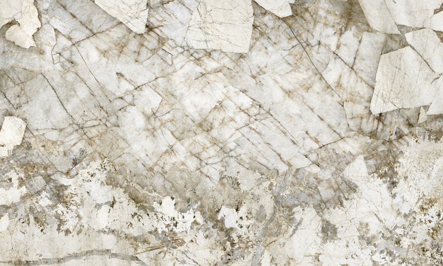 FC Carrara 4 foto 45085658