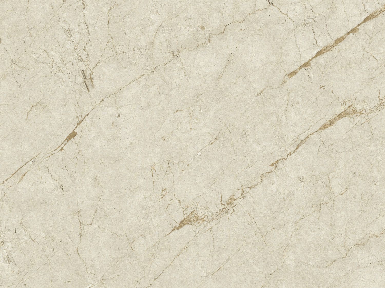 FC Carrara 4 foto 45085659