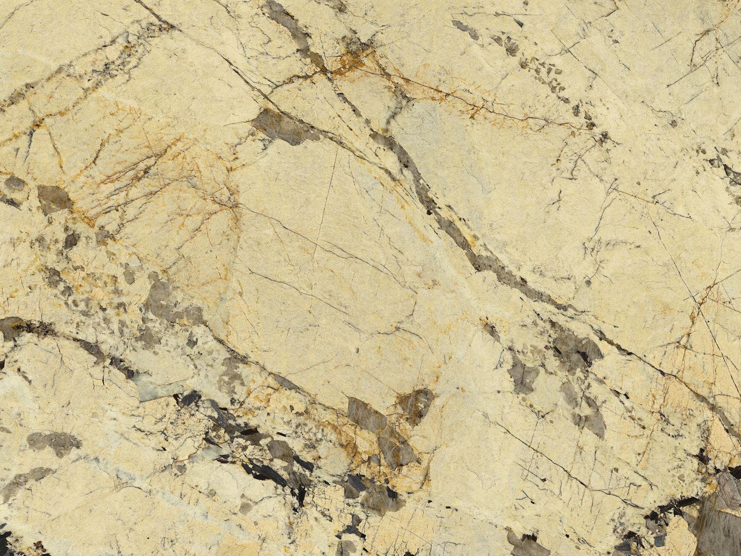 FC Carrara Best 85654