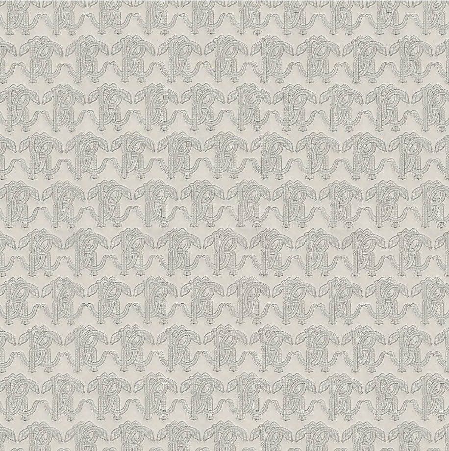 Roberto Cavalli 9- logo grijs 21037