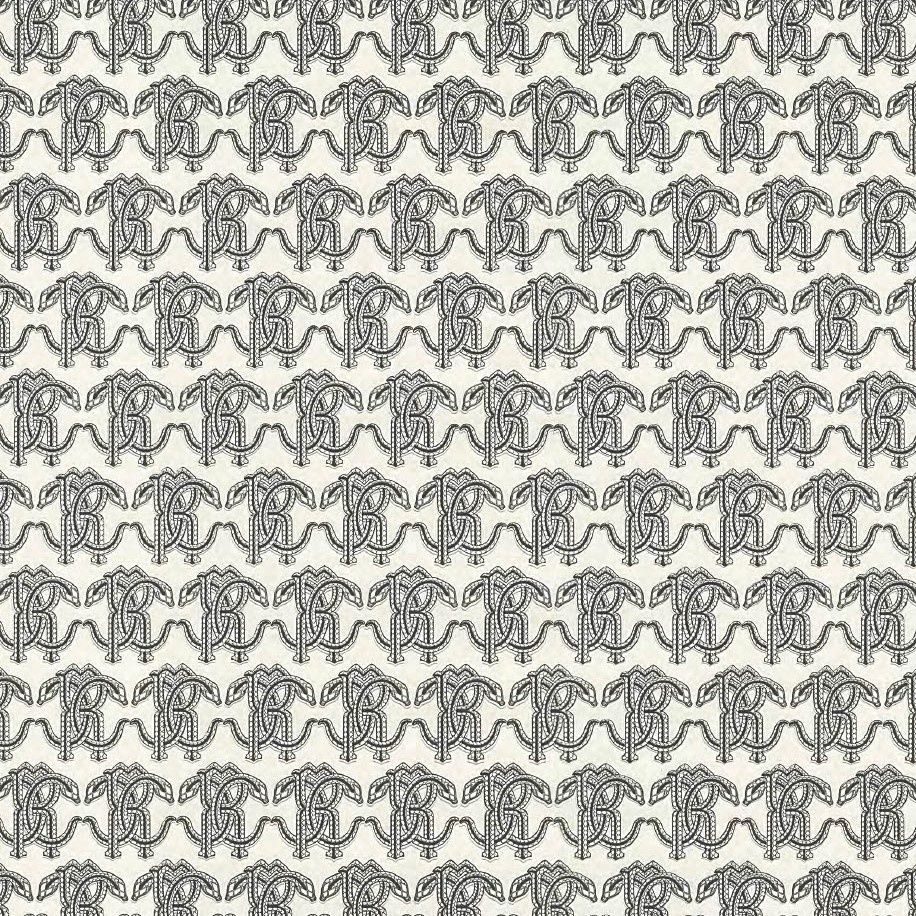 Roberto Cavalli 9- logo wit/zwrt 21034