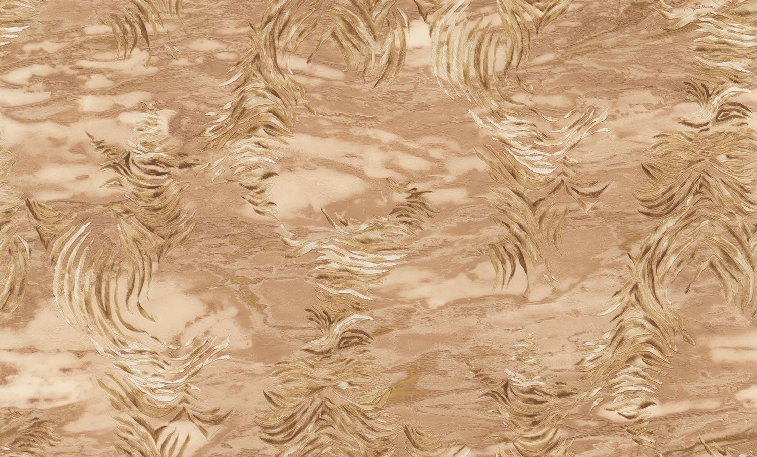 Roberto Cavalli 9- zebra l.bruin 21019