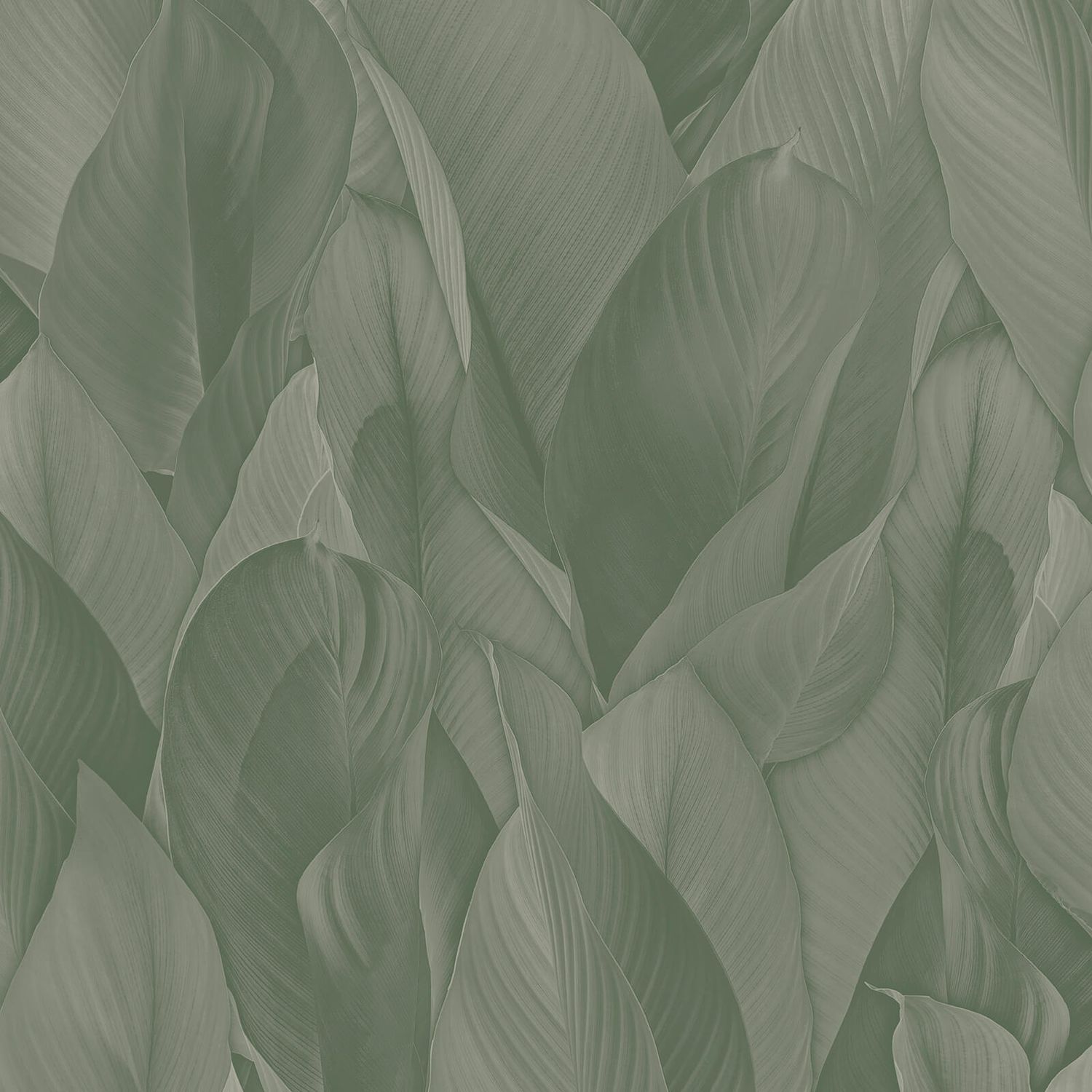 Architexture 2; design Z57705