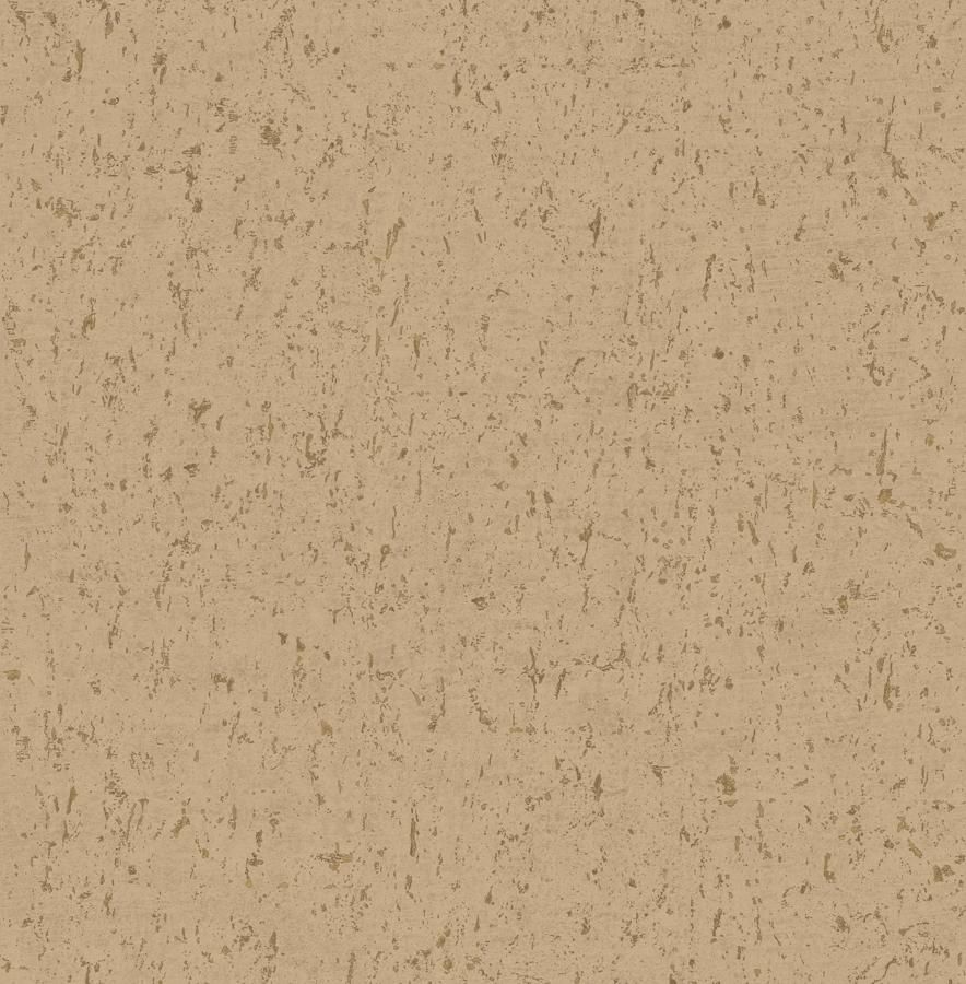 FC Arber- Callie Gold DL26710 FC Arber- Callie Gold DL26710