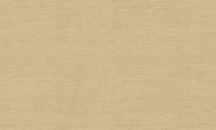 FC Voyage- uni beige DB73740