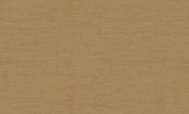 FC Voyage- uni beige DB73743