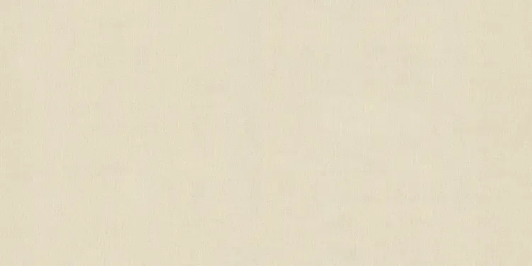 FC Voyage- uni beige DB73784