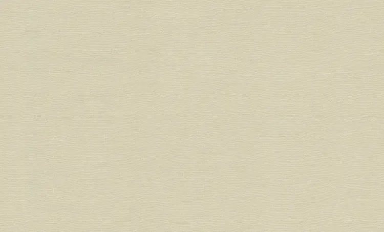 FC Voyage- uni beige DB73764