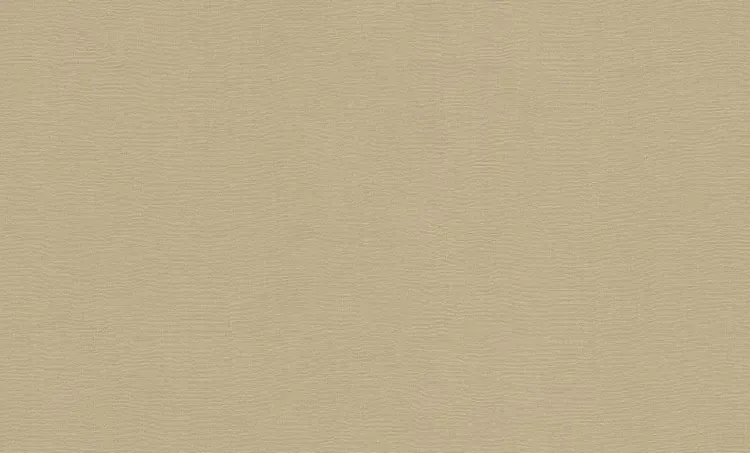 FC Voyage- uni beige DB73765